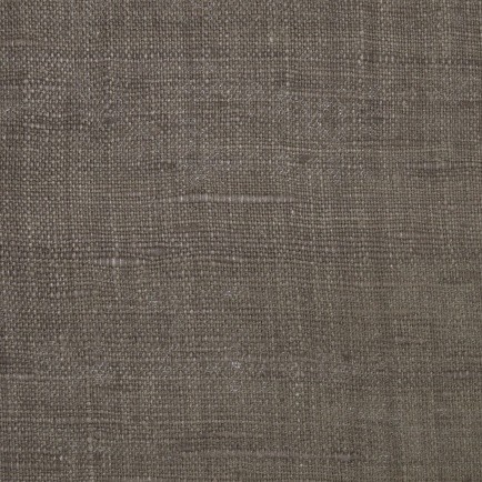 Ashoka Silk