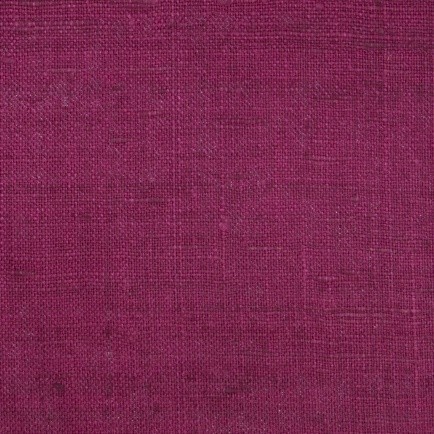 Ashoka Silk