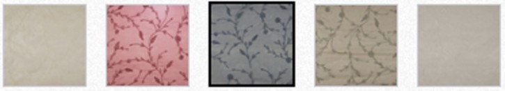 Organza mit Deko-Stickereien
